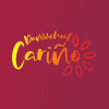 Carino